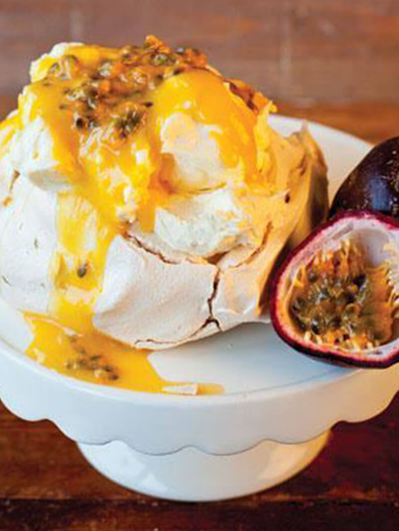 Platypus - Pavlova Passion